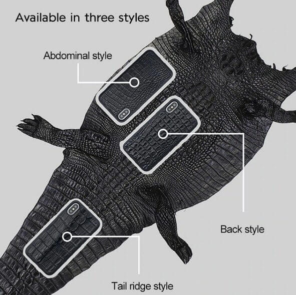 three different style - back, abdominal, tail ridge